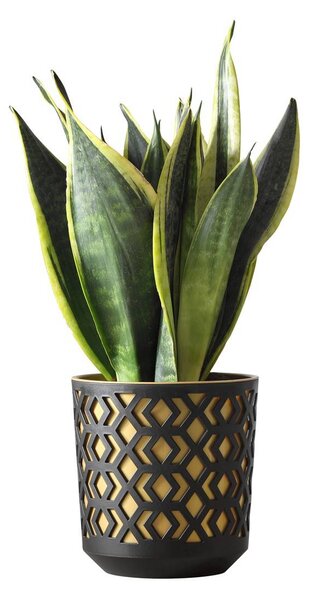 PLASTOVÝ KVETINÁČ ETNIC 20X19 CM ZLATÁ
