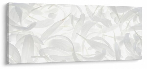 Obraz - Okvetné lístky (120x50 cm)