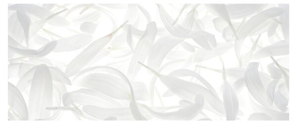 Obraz - Okvetné lístky (120x50 cm)