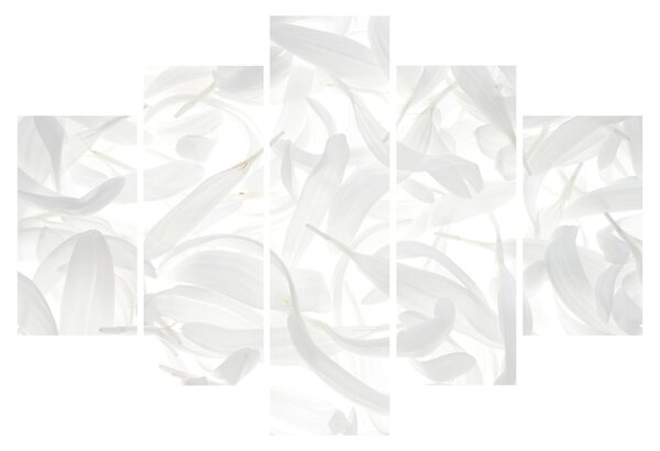 Obraz - Okvetné lístky (150x105 cm)