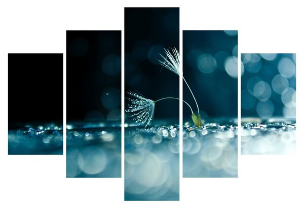 Obraz - Makro (150x105 cm)