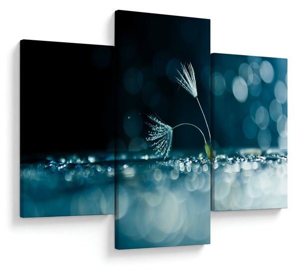 Obraz - Makro (90x60 cm)