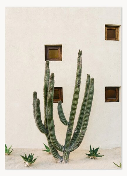 Plagát Cabo Cactus IX