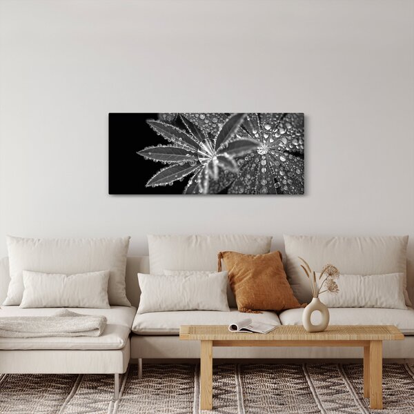 Obraz - Listy s kvapkami (120x50 cm)