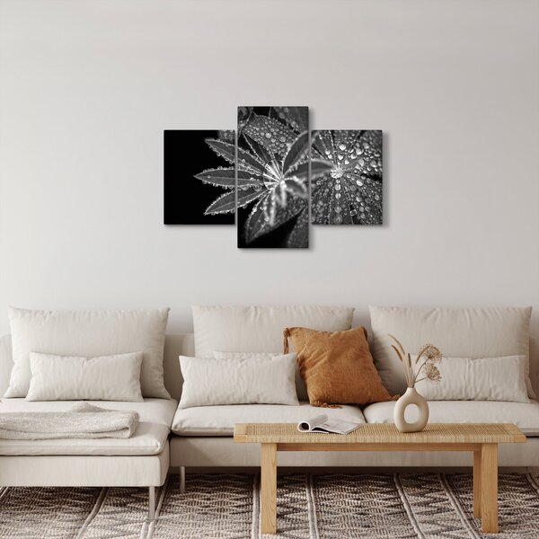 Obraz - Listy s kvapkami (90x60 cm)