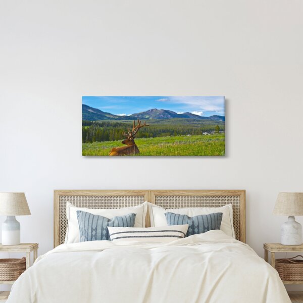 Obraz - Jeleň v lúke (120x50 cm)