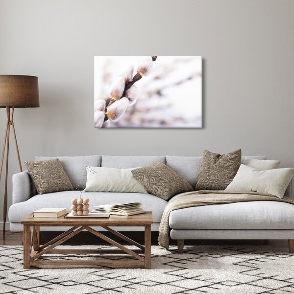 Obraz - Vetva mačičky (90x60 cm)