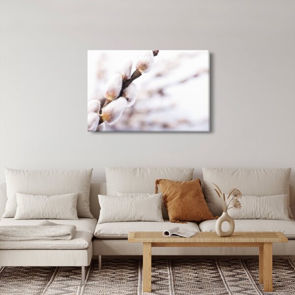 Obraz - Vetva mačičky (90x60 cm)