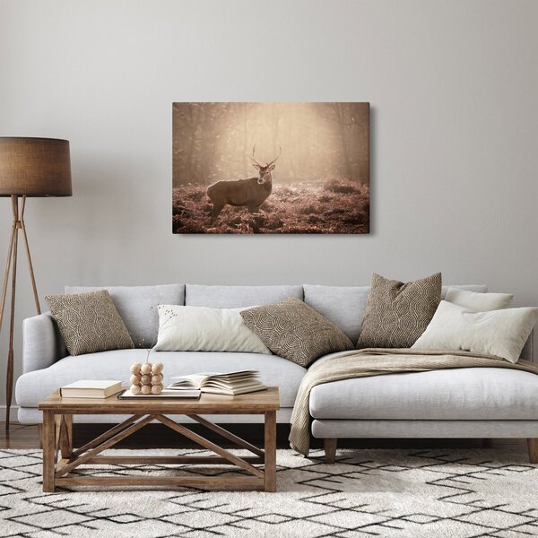 Obraz - Jeleň v lese (90x60 cm)