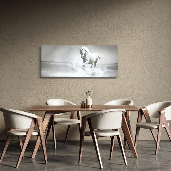 Obraz - Biely kôň (120x50 cm)