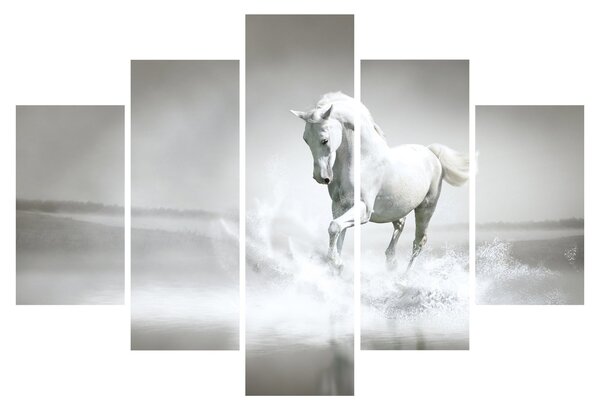 Obraz - Biely kôň (150x105 cm)