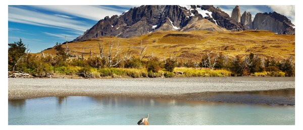 Obraz - Národný park Torres del Paine (120x50 cm)