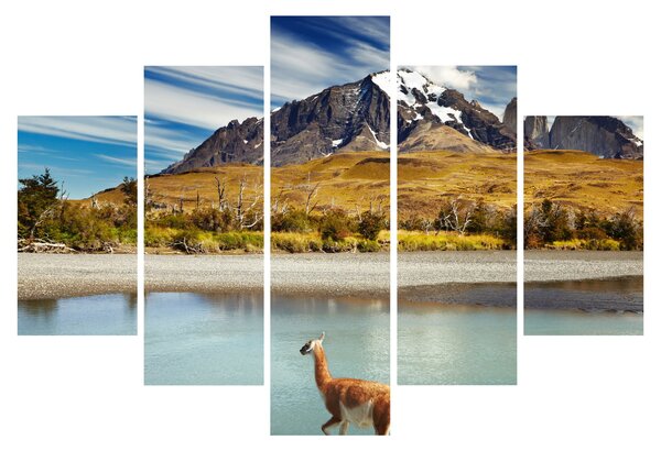 Obraz - Národný park Torres del Paine (150x105 cm)