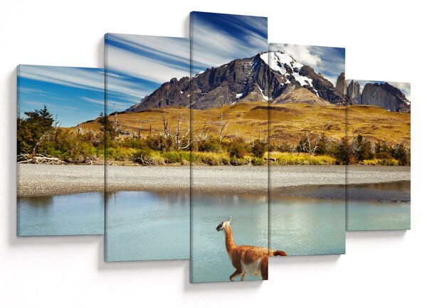 Obraz - Národný park Torres del Paine (150x105 cm)