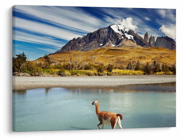 Obraz - Národný park Torres del Paine (70x50 cm)