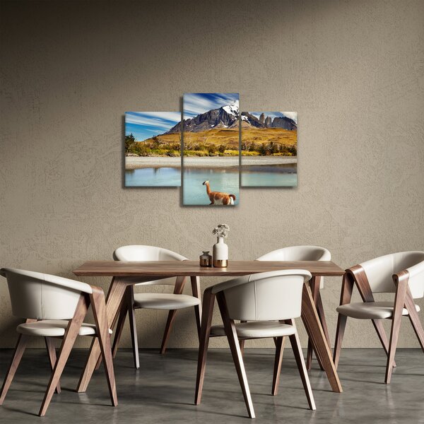 Obraz - Národný park Torres del Paine (90x60 cm)