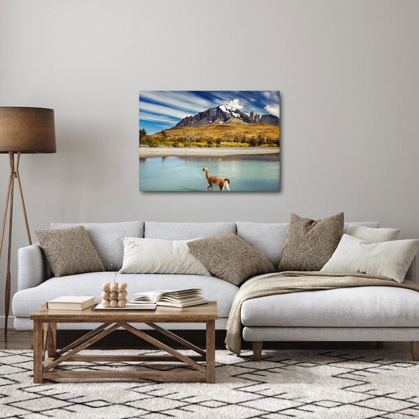 Obraz - Národný park Torres del Paine (70x50 cm)