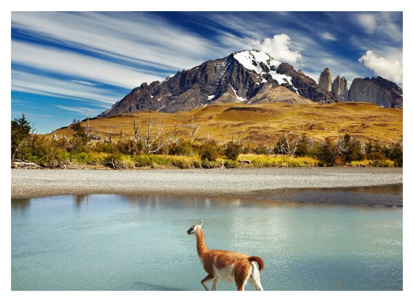 Obraz - Národný park Torres del Paine (70x50 cm)