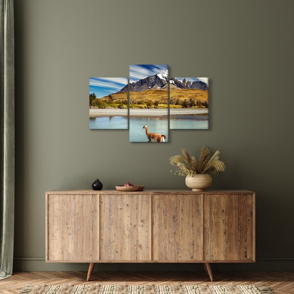 Obraz - Národný park Torres del Paine (90x60 cm)