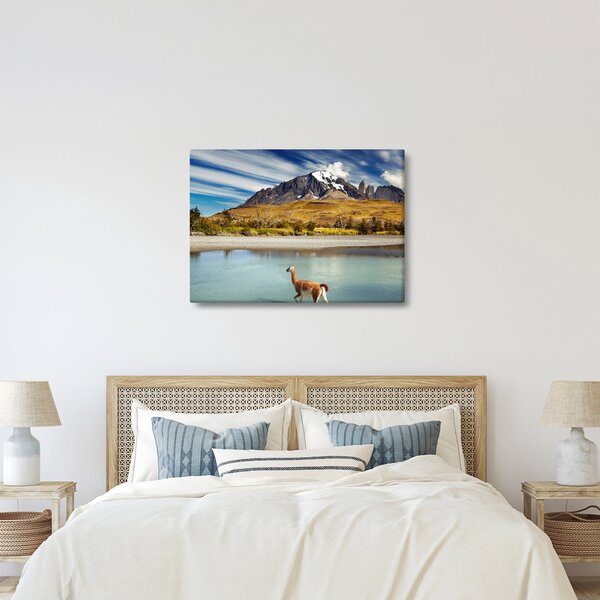 Obraz - Národný park Torres del Paine (70x50 cm)