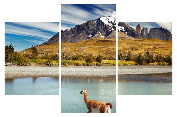 Obraz - Národný park Torres del Paine (90x60 cm)