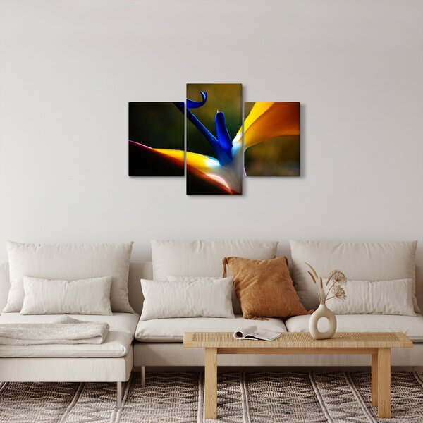 Obraz - Exotický kvet (90x60 cm)