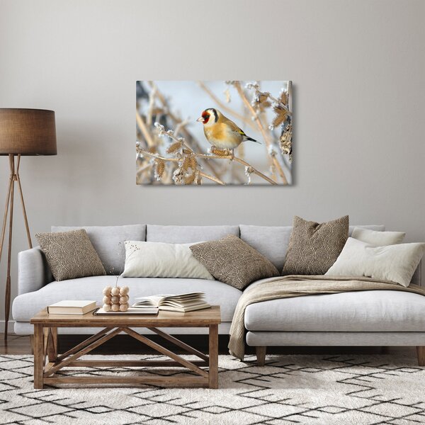 Obraz - Stehlík (90x60 cm)