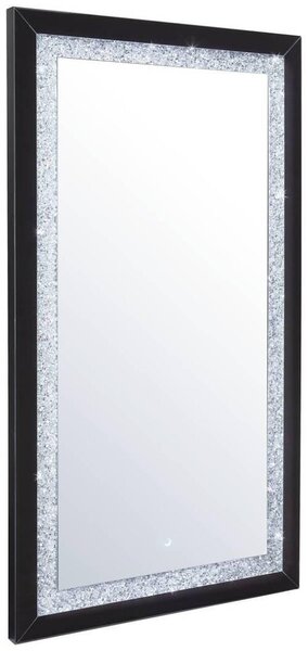 NÁSTENNÉ ZRKADLO 100/180/5,5 cm Xora - Zrkadlá na stenu