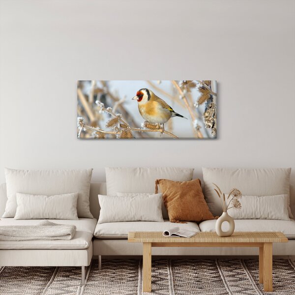 Obraz - Stehlík (120x50 cm)