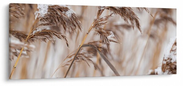 Obraz - Lipnica (120x50 cm)