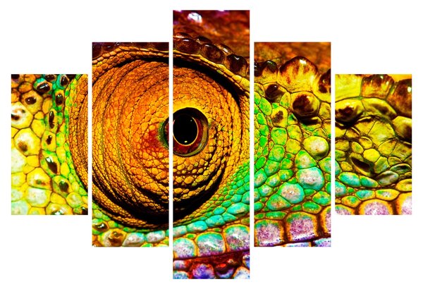 Obraz - Chameleon (150x105 cm)