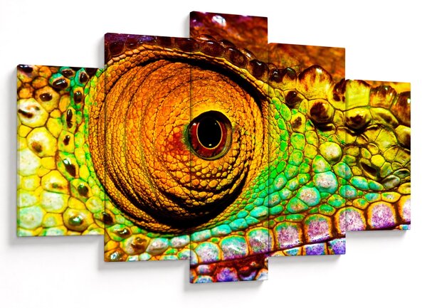 Obraz - Chameleon (150x105 cm)