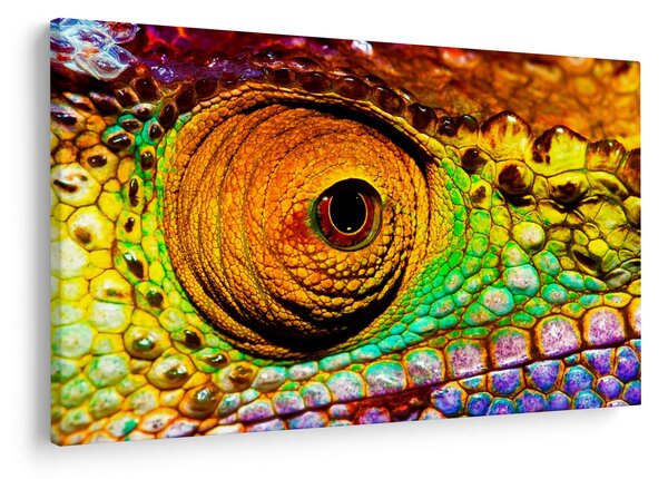 Obraz - Chameleon (90x60 cm)