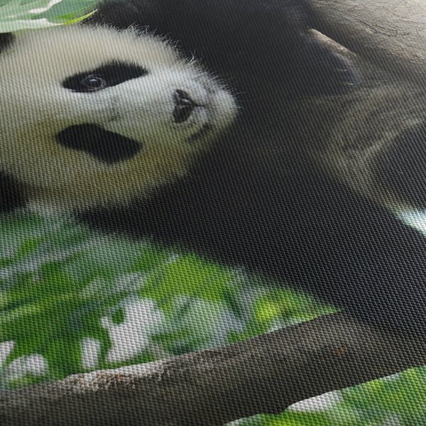 Obraz - Panda na strome (s hodinami) (90x30 cm)