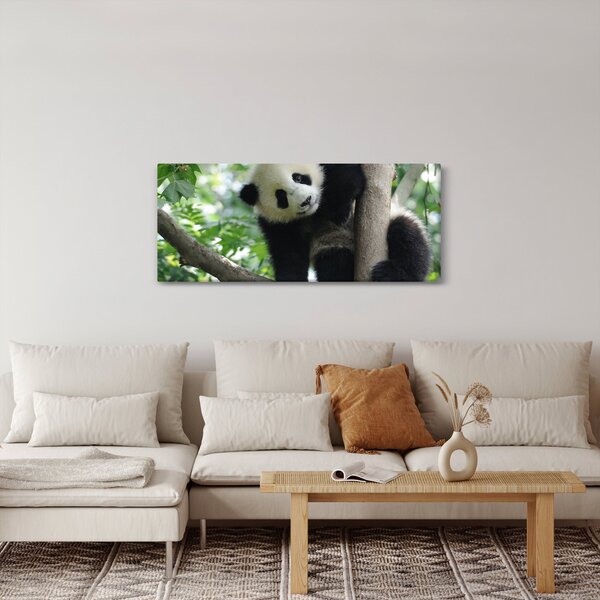 Obraz - Panda na strome (120x50 cm)