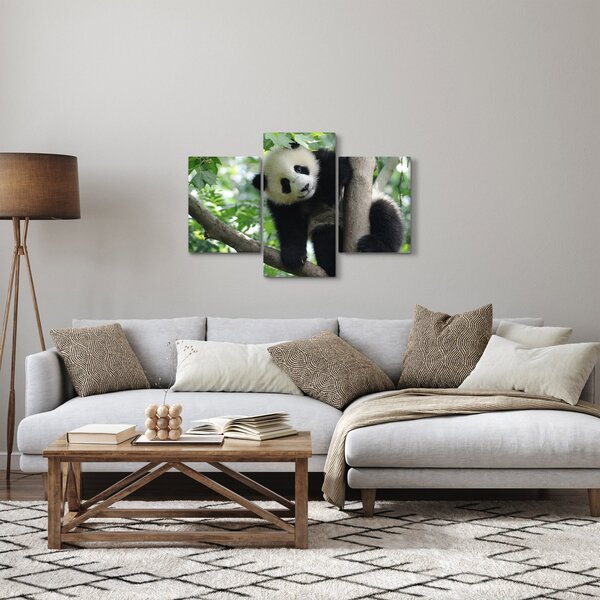 Obraz - Panda na strome (90x60 cm)