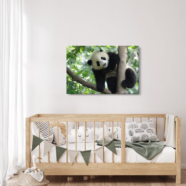 Obraz - Panda na strome (90x60 cm)