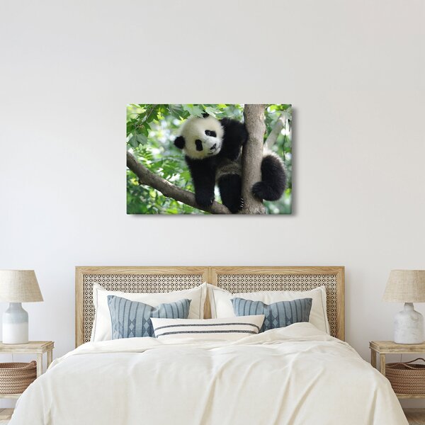 Obraz - Panda na strome (90x60 cm)
