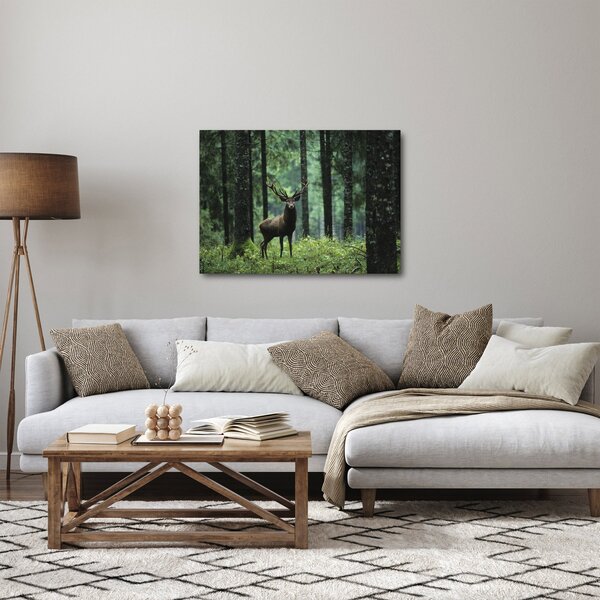 Obraz - Jeleň v hlbokom lese (70x50 cm)