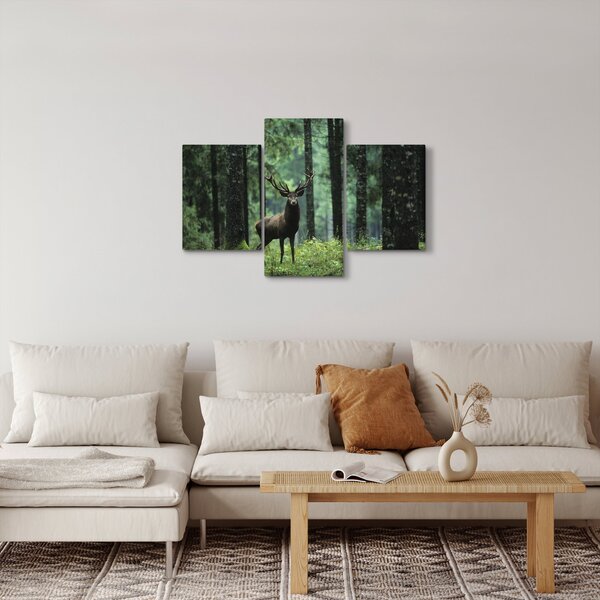Obraz - Jeleň v hlbokom lese (90x60 cm)