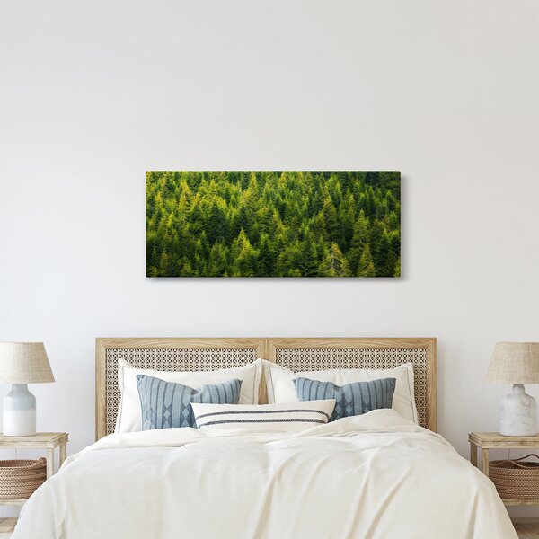 Obraz - Hustý les (120x50 cm)