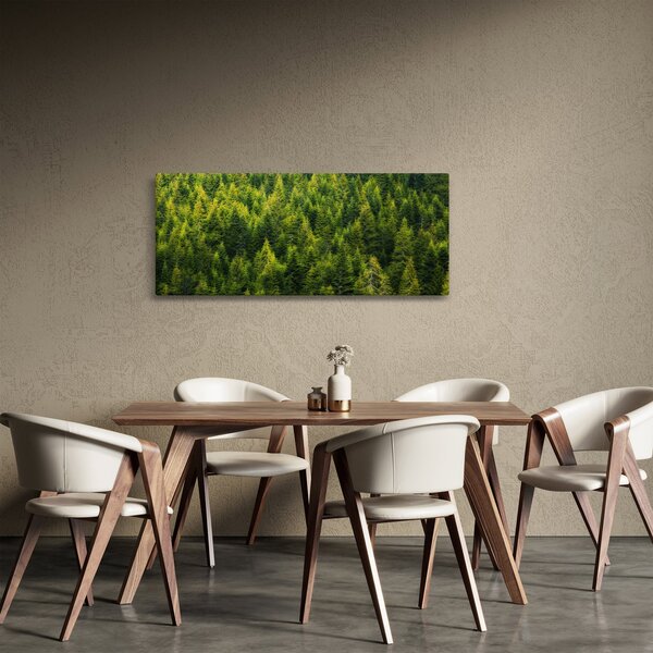 Obraz - Hustý les (120x50 cm)