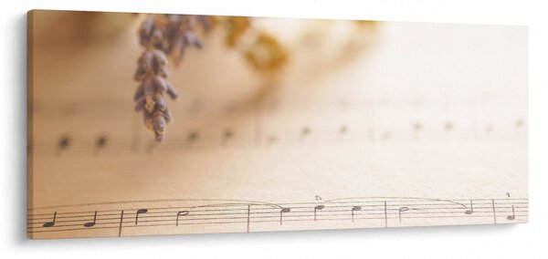 Obraz - Pieseň (120x50 cm)