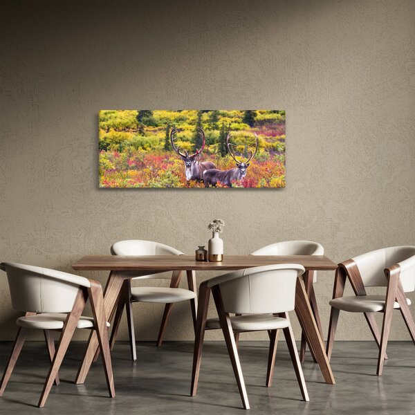 Obraz - Karibu na Aljaške (120x50 cm)