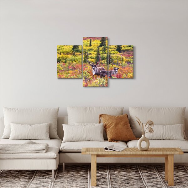 Obraz - Karibu na Aljaške (90x60 cm)