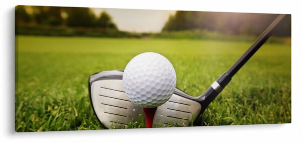 Obraz - Golf (120x50 cm)