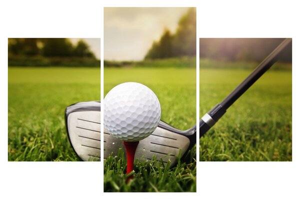 Obraz - Golf (90x60 cm)