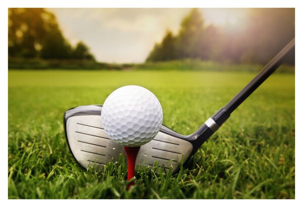 Obraz - Golf (90x60 cm)