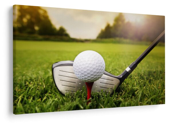Obraz - Golf (90x60 cm)