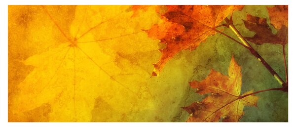 Obraz - Jesenné listy (120x50 cm)